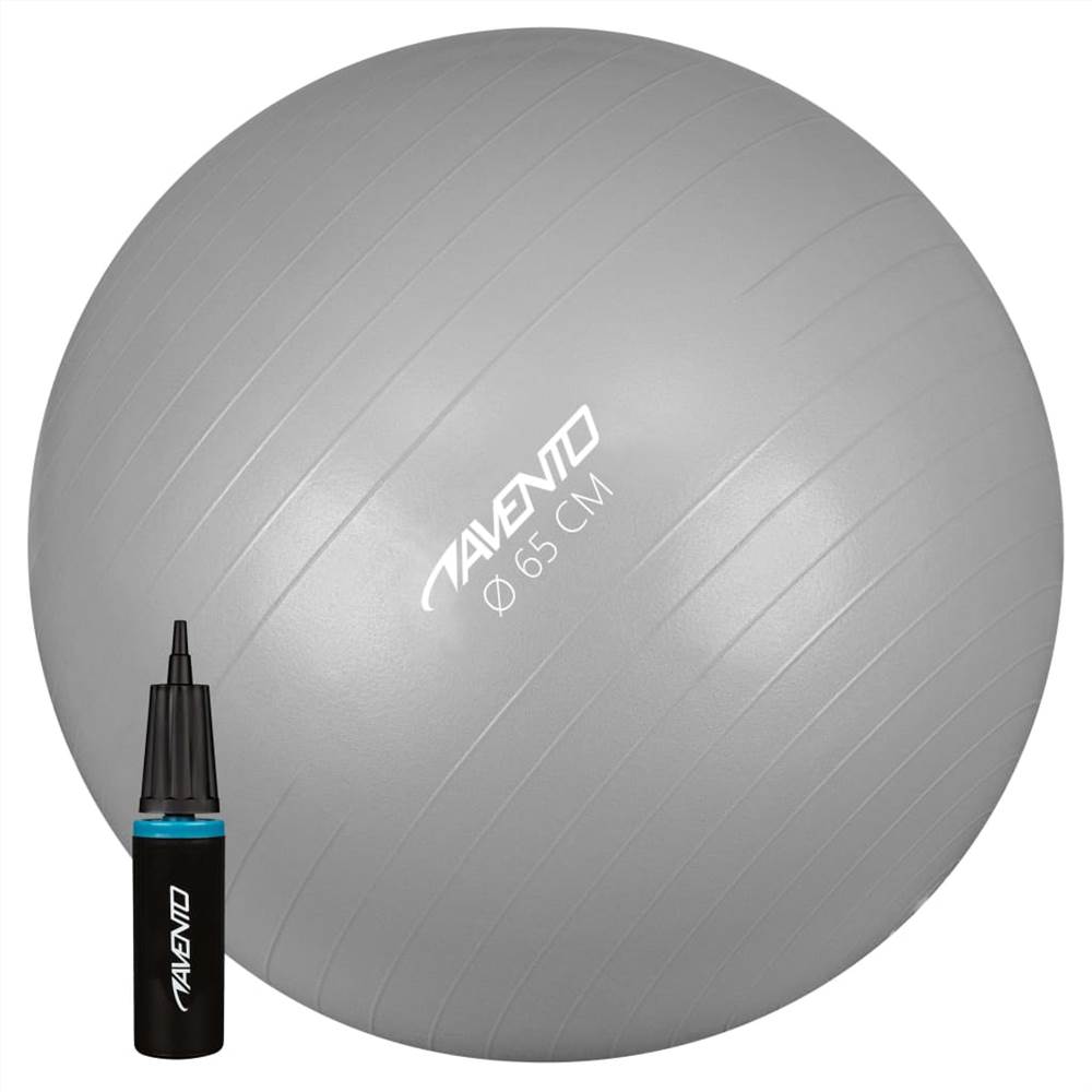 

Avento Fitness/Gym Ball + Pump Dia. 65 cm Silver