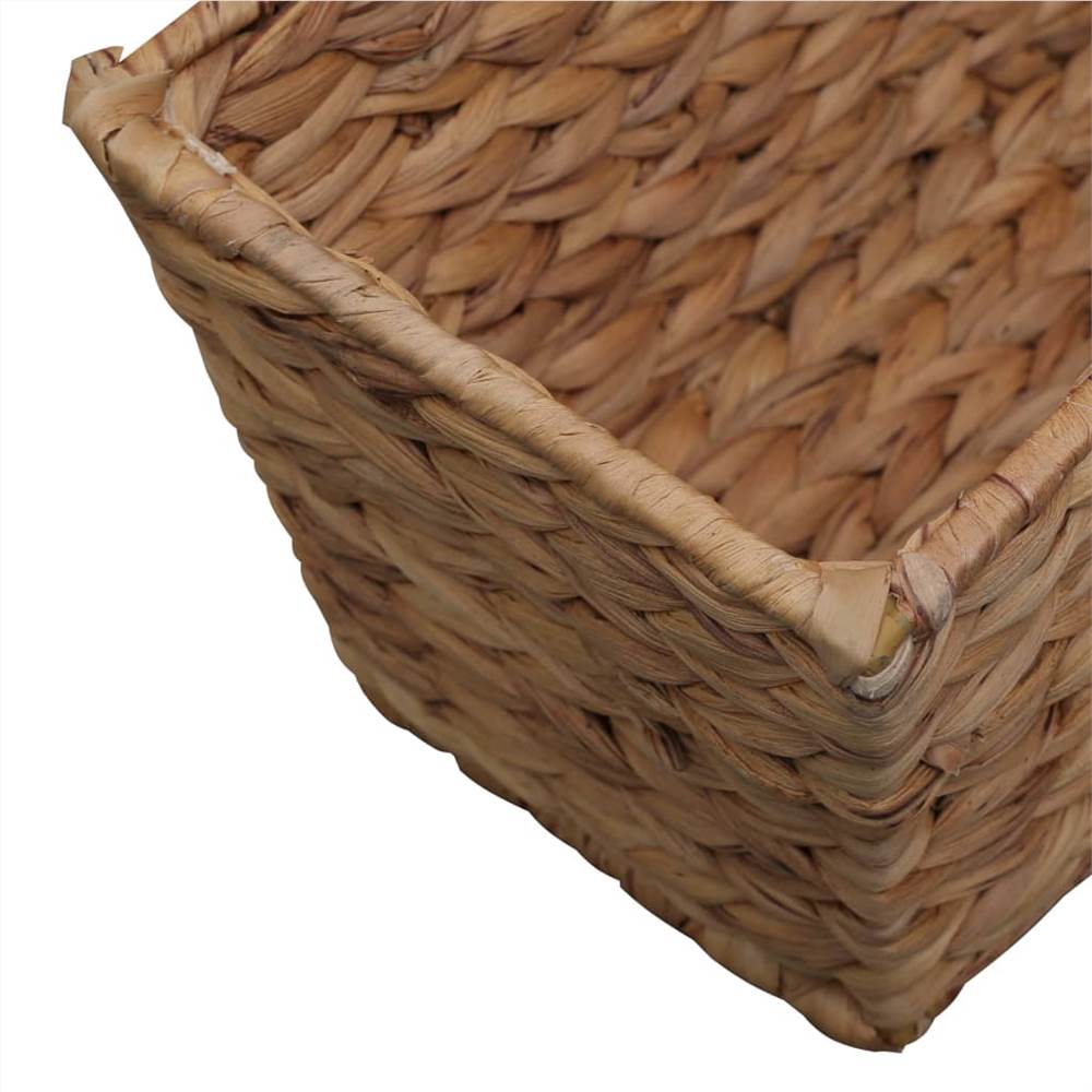 Garden Planters 2 pcs Water Hyacinth