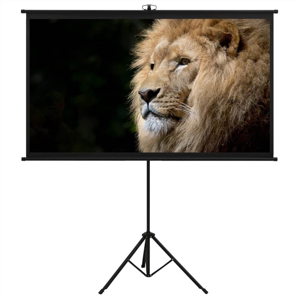 Projection Screen with Tripod 84