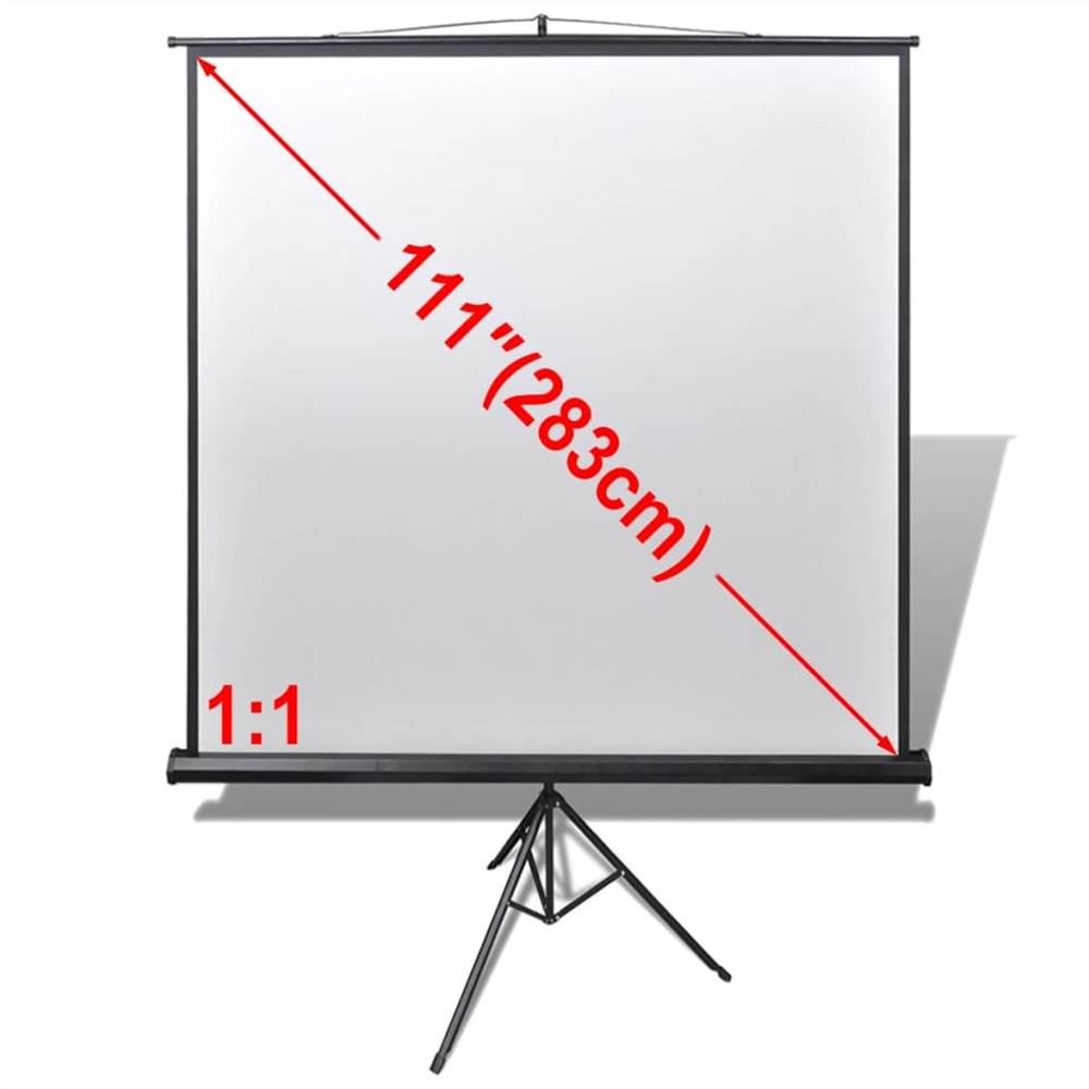 Manual Projection Screen with Height Adjustable Stand 200 x 200 cm 1:1