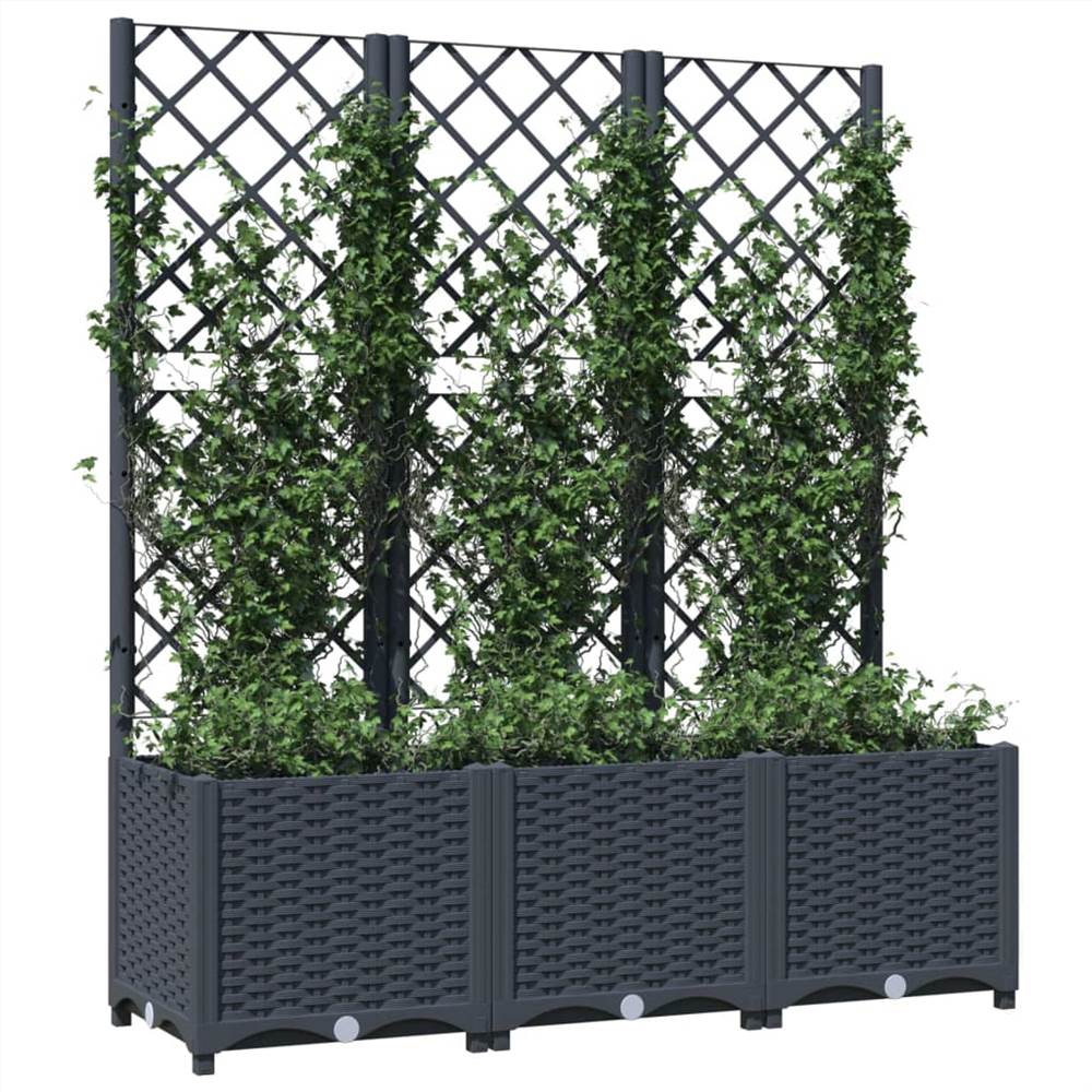 Garden Planter with Trellis Dark Grey 120x40x136 cm PP