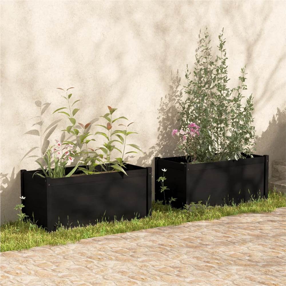 

Garden Planters 2 pcs Black 100x50x50 cm Solid Pinewood