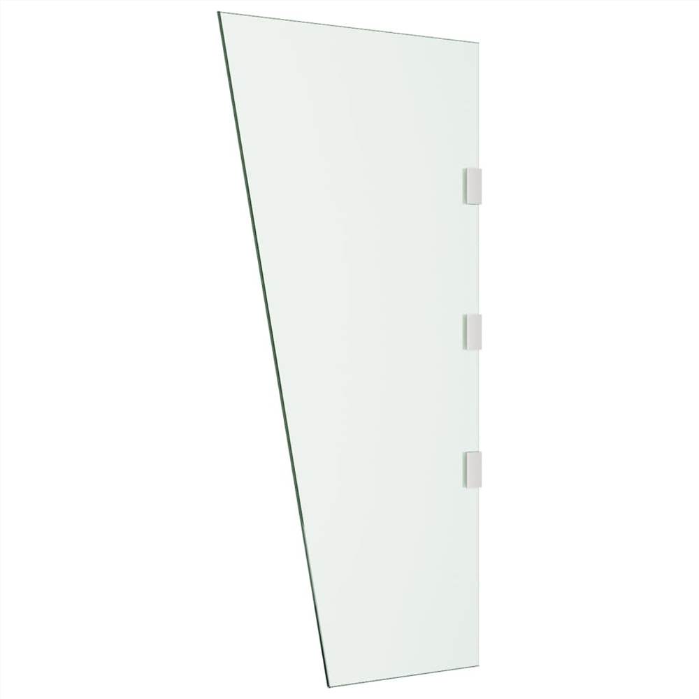 Side Panel for Door Canopy Transparent 50x100 cm Tempered Glass