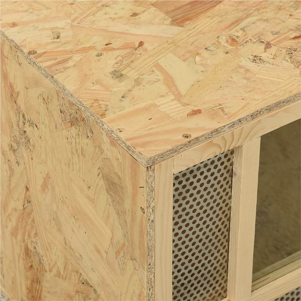 Terrarium Engineered Wood