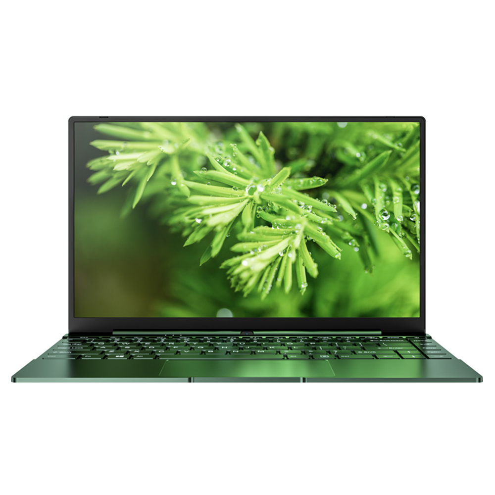 Daysky V14S 14.1 inch Laptop Intel Celeron N5095 12GB LPDDR4 256G SSD 1080P FHD with Backlight Windows 10 - Green