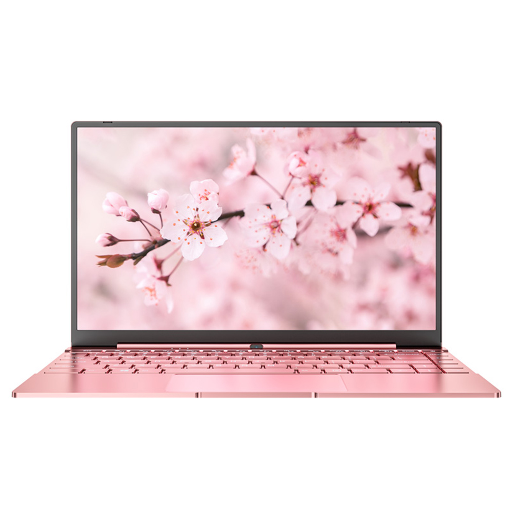 Daysky V14S 14.1 inch Laptop Intel Celeron N5095 12GB LPDDR4 512G SSD 1080P FHD with Backlight Windows 10 - Pink