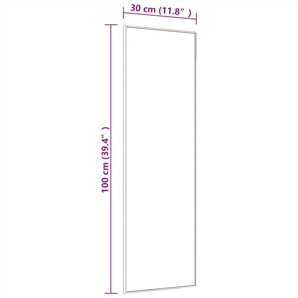 Door Mirror Black 30x100 cm Glass and Aluminium