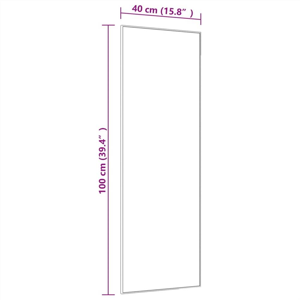 Door Mirror Black 40x100 cm Glass and Aluminium