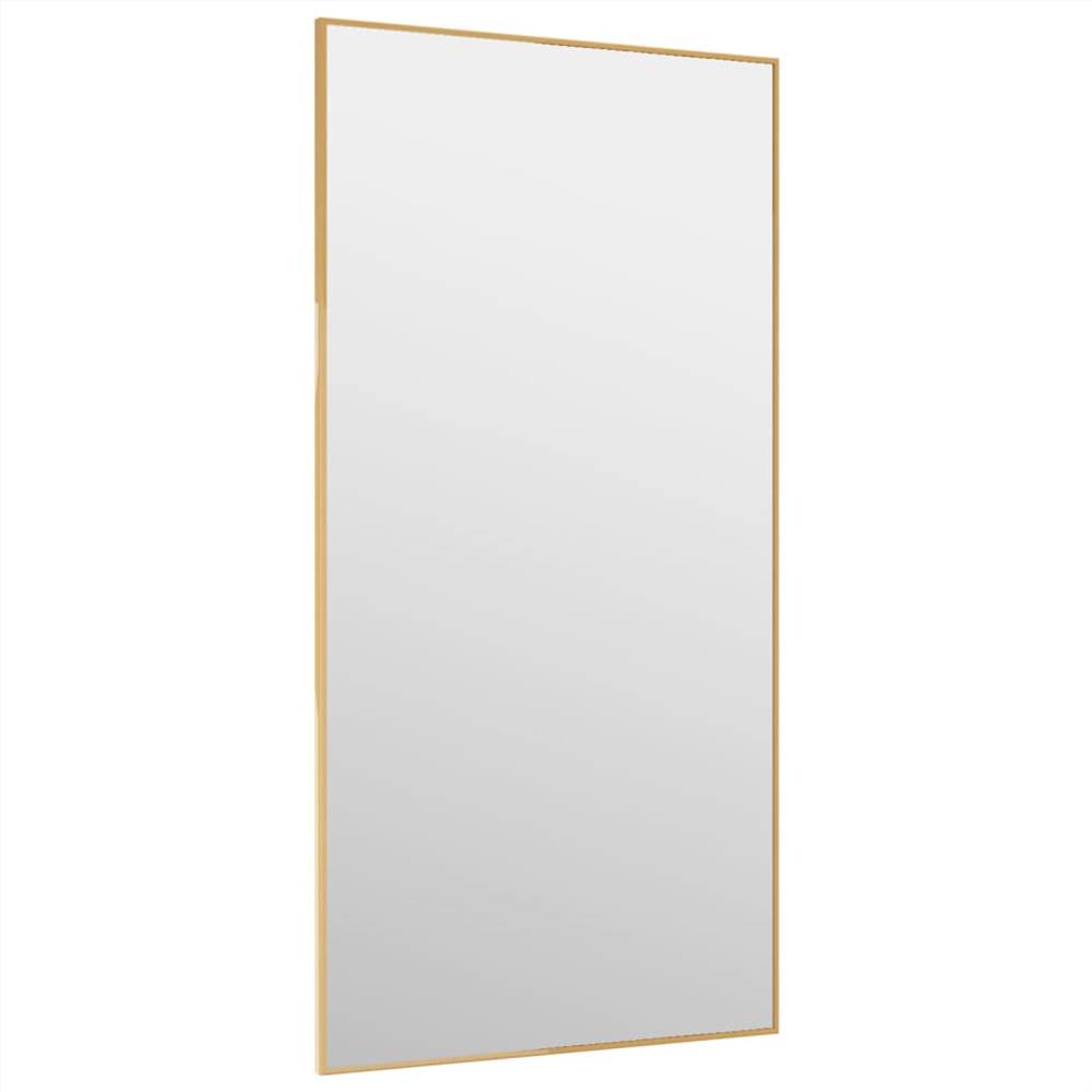 Door Mirror Gold 40x80 cm Glass and Aluminium