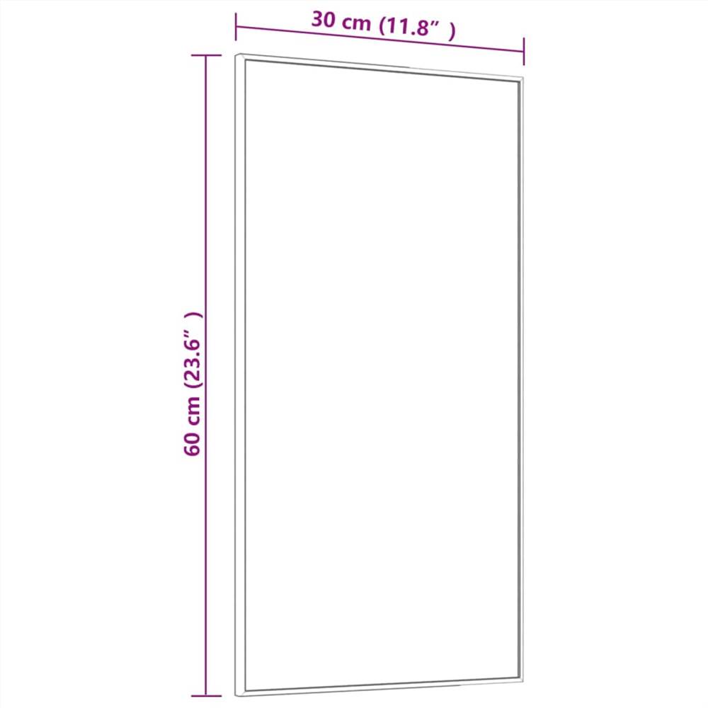 Door Mirror Gold 30x60 cm Glass and Aluminium