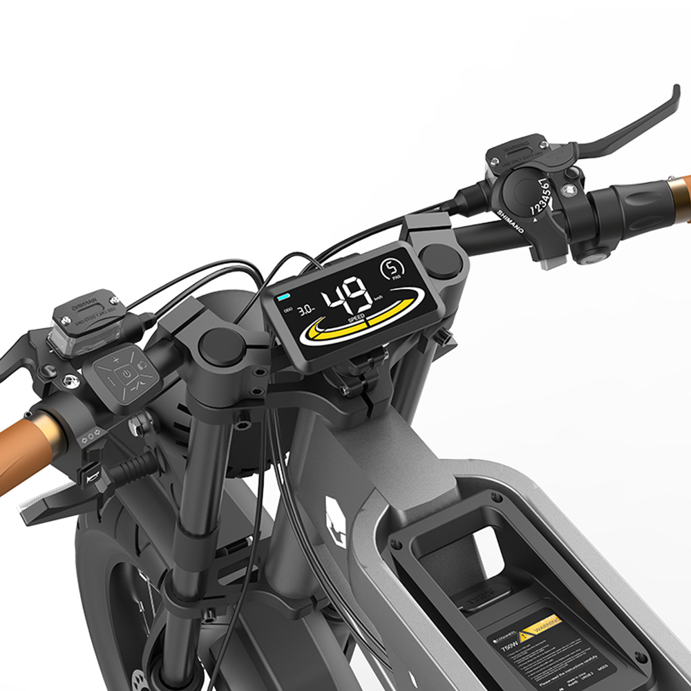 COSWHEEL GT20 Electric Bike 20 Inch 750W Motor 25AH 45Km/h Speed