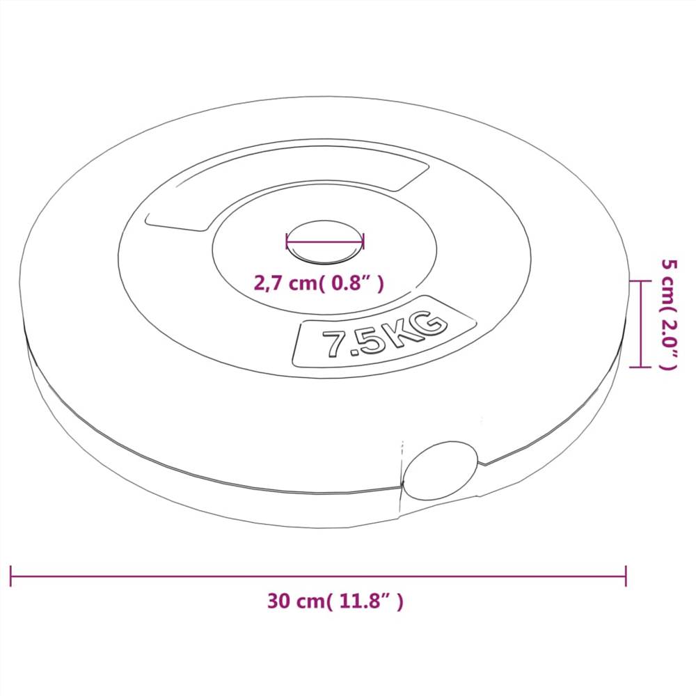 Weight Plates 6 pcs 30 kg Cement