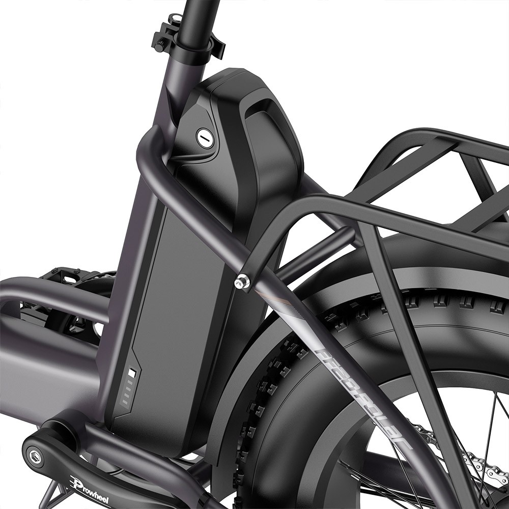 Fafrees FF20 Polar E-Bike 40Km/h 500W 48V 10.4AH Dual Battery Grey