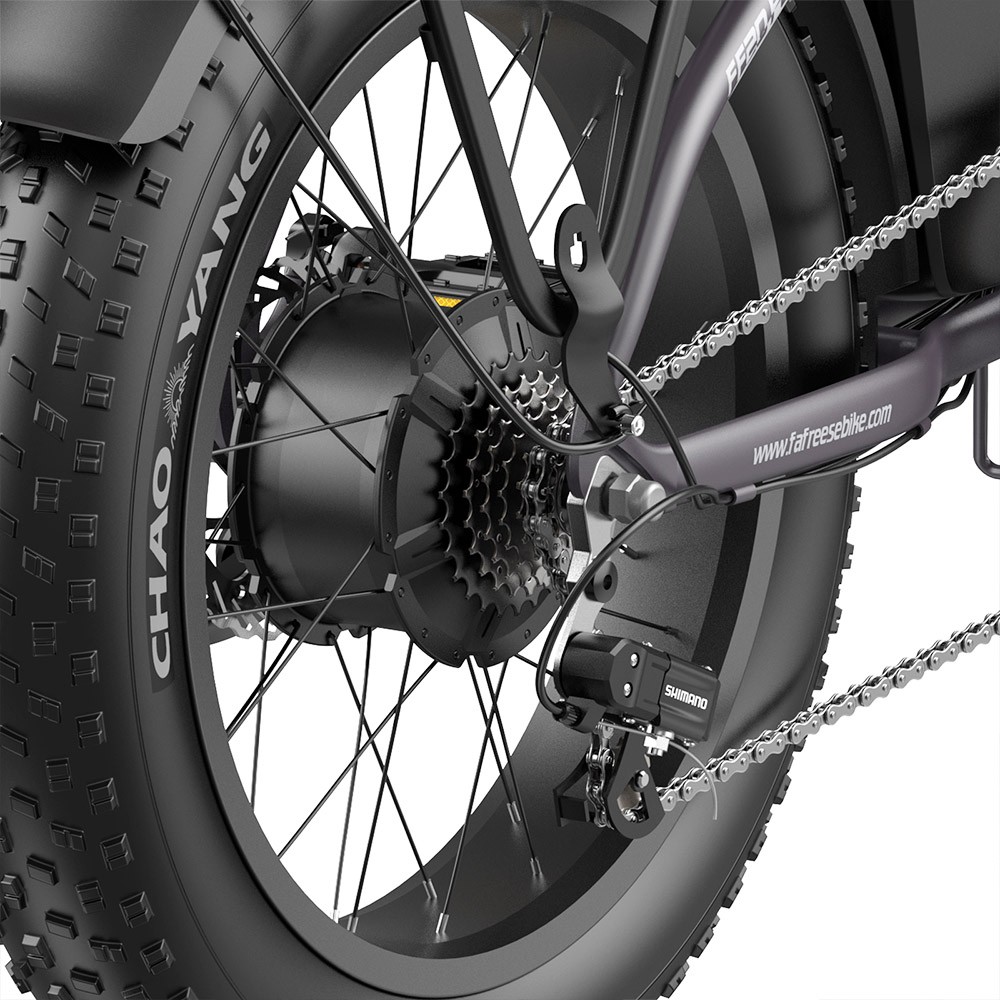 Fafrees FF20 Polar E-Bike 40Km/h 500W 48V 10.4AH Dual Battery Grey