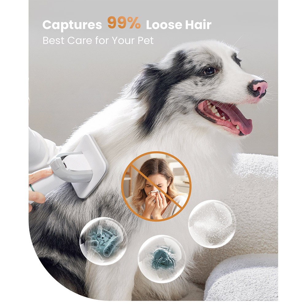 INSE P20 Pro Grooming Kit Pet Hair Clipper Vacuum for Pets Europe