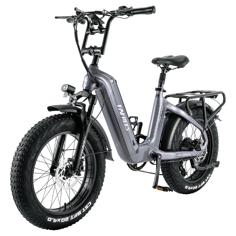 Fafrees F20 Master E-bike 20*4.0 Tire 500W Motor Grey | Europe