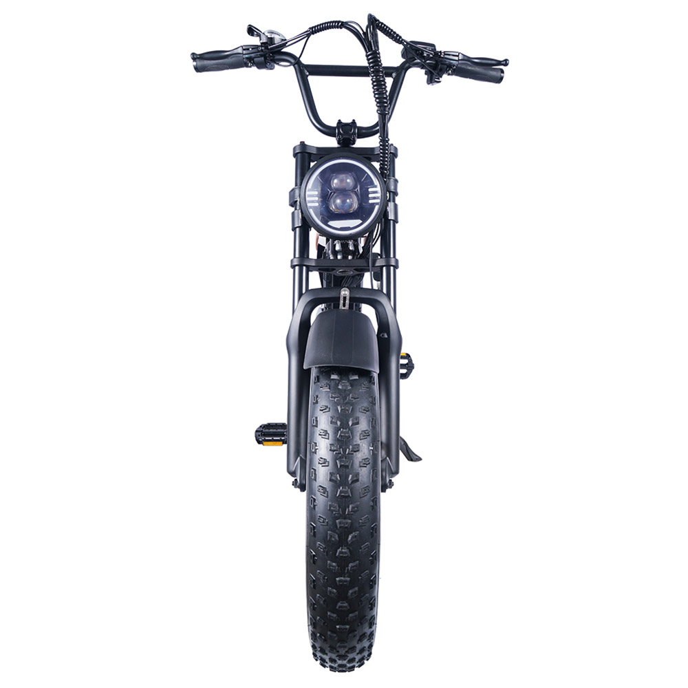 EUENI FXH009 Electric Bike 20 inch 750W Motor 48V 15Ah 45km/h Grey