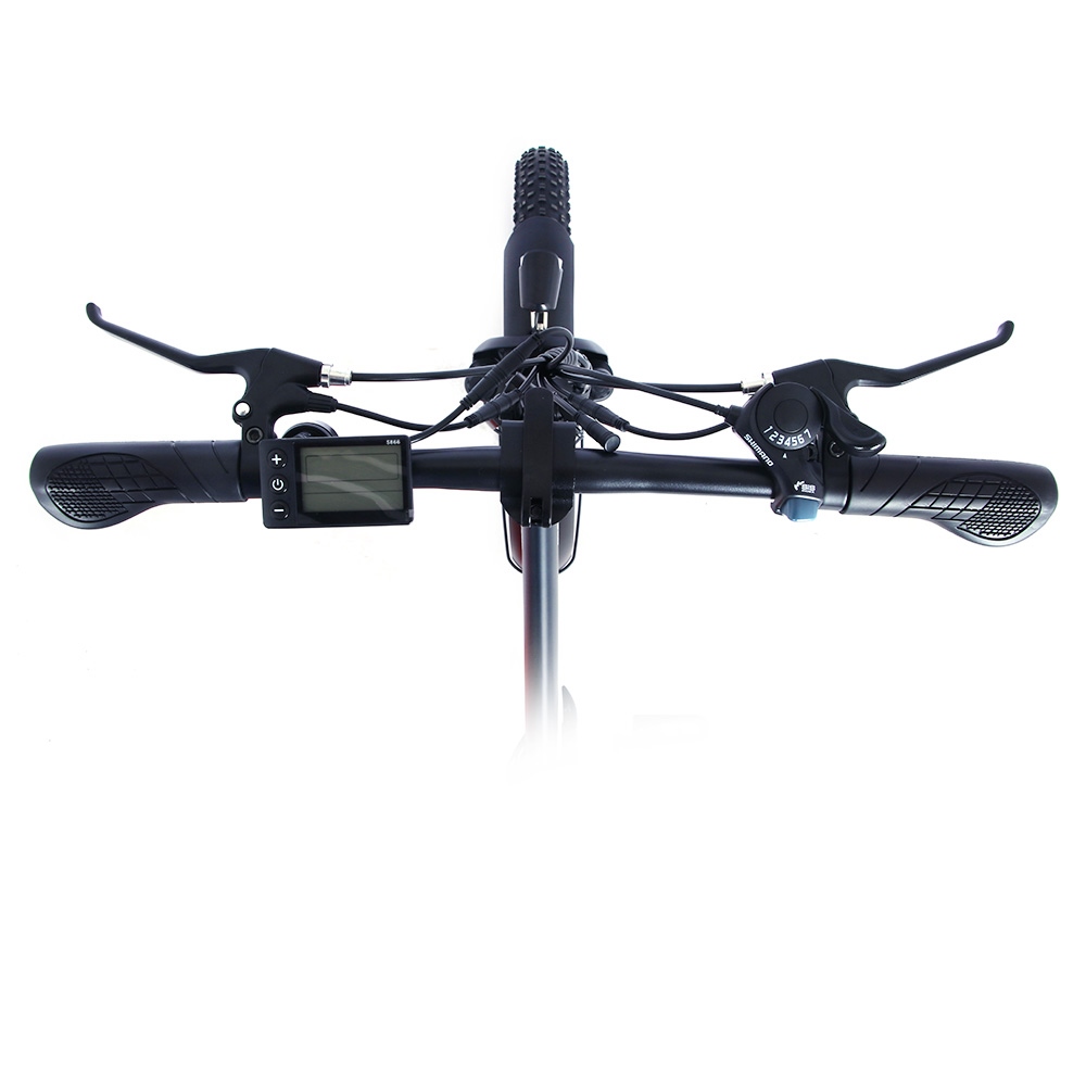 Bici Elettrica Pieghevole ONESPORT OT16-2, 20", 48V 250W, 25km/h, Bianca