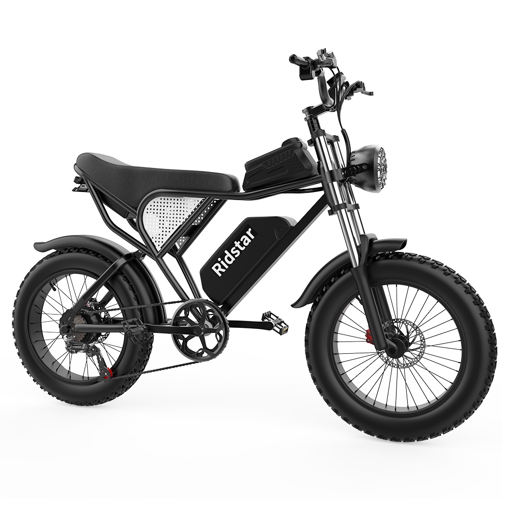 Ridstar Q20 Electric Bike, 1000W Brushless Motor 20*4.0 inch Fat Tires 48V 20Ah Removable Battery 48km/h Max Speed 150kg Max Load 120km Max Range Hydraulic Disc Brake