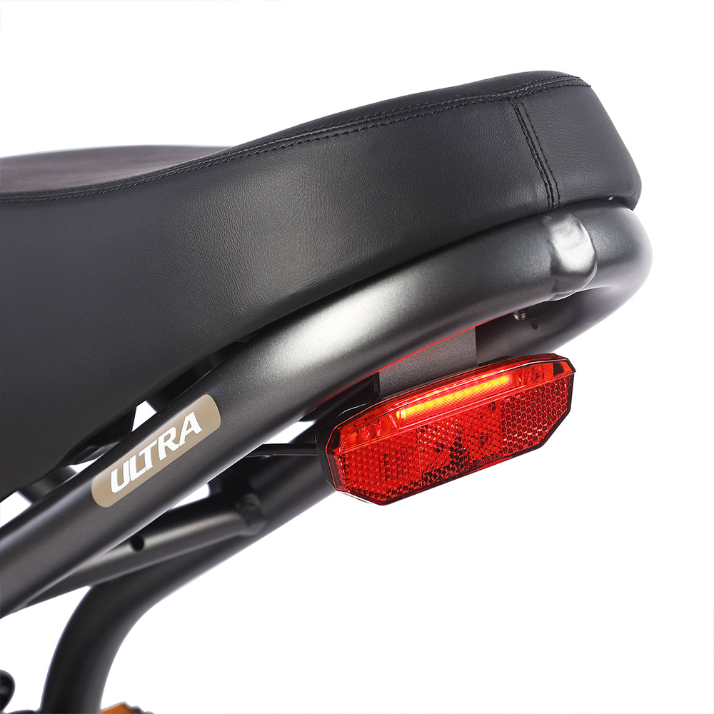 FAFREES F20 ULTRA Electric Bike Grey