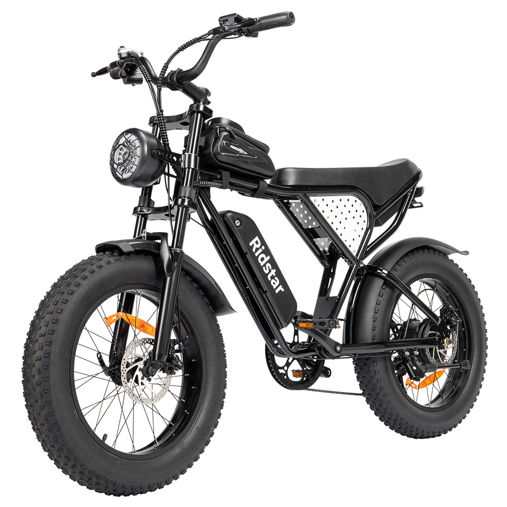 Ridstar Q20 Mini Electric Bike