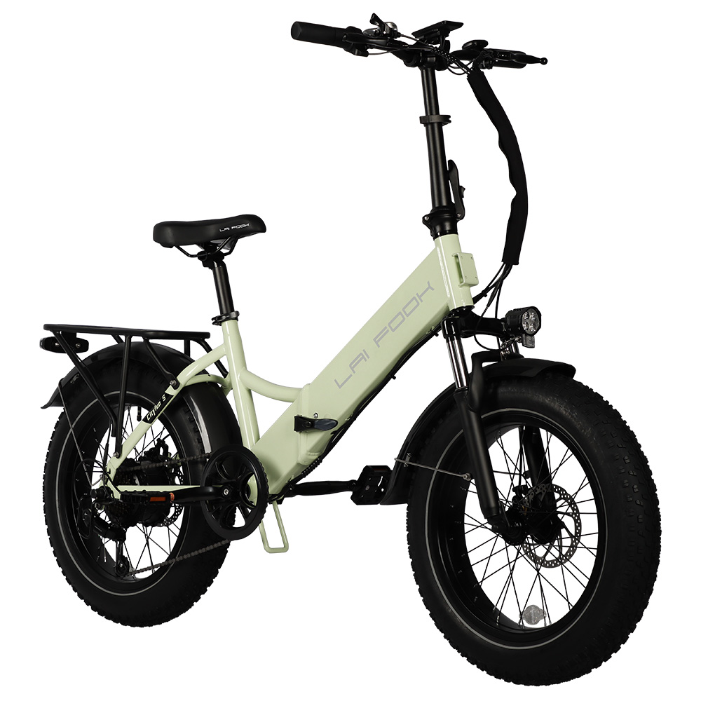 LAIFOOK Cityfun S Electric Bike, 250W Brushless Motor, 48V 10.4AH Battery, 20 x 4.0 Inch Fat Tires, 25km/h Max Speed, 70km Range, Mechanical Disc Brake, Shimano 7 Speed, LCD Display - Green