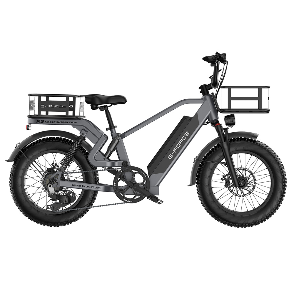 Max Fat 20*4-inch G-FORCE Electric Bike, 750W RS Battery, Tires, 48V Speed Motor, 15.6Ah 50km/h