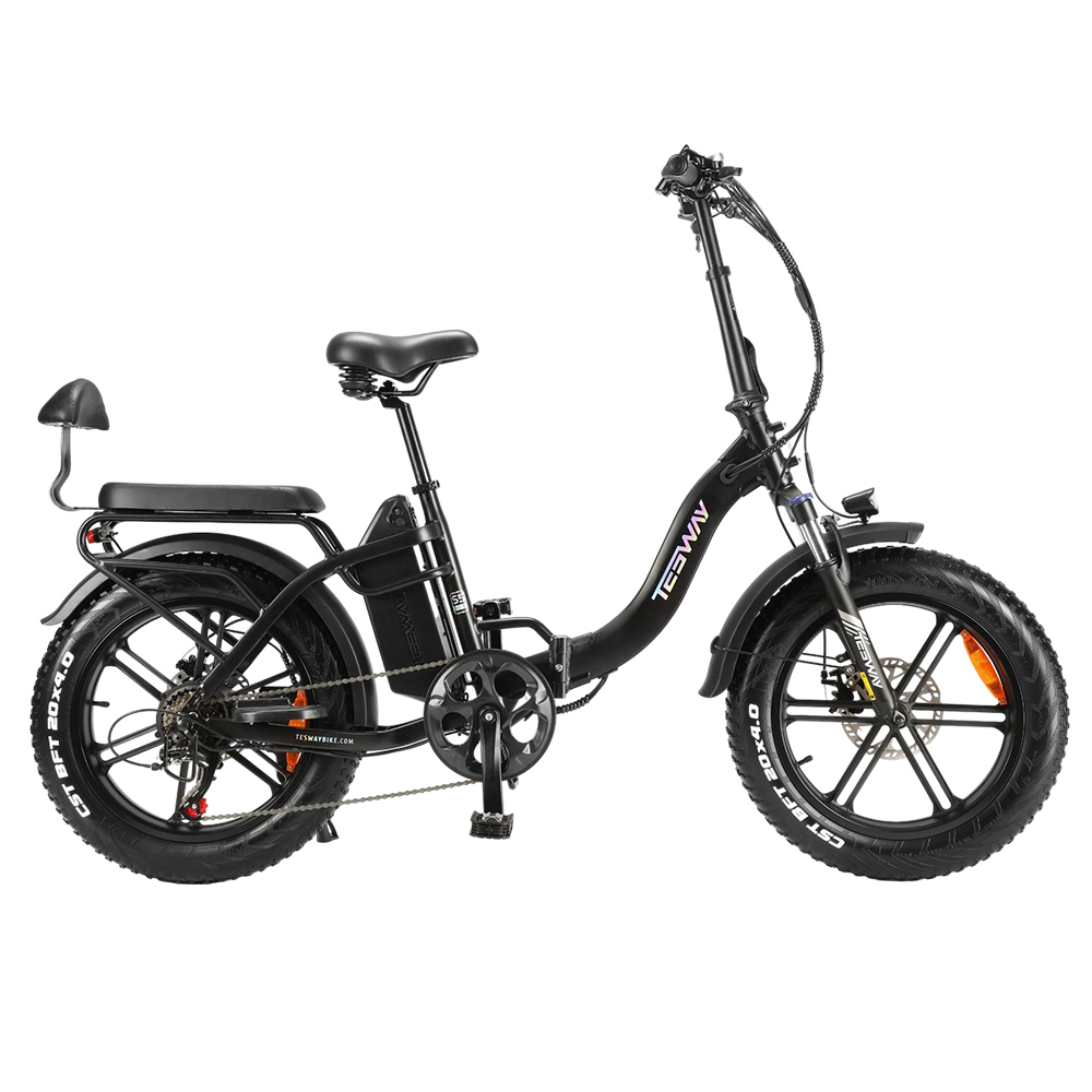 TESWAY S5 Electric Bike, 250W Motor, 48V 20Ah Battery, 20*4.0 Inch Tires, 25km/h Max Speed, 110km Range, Front & Rear Mechanical Disc Brakes, Hydraulic Suspension, Shimano 7-Speed, LCD Display - Black