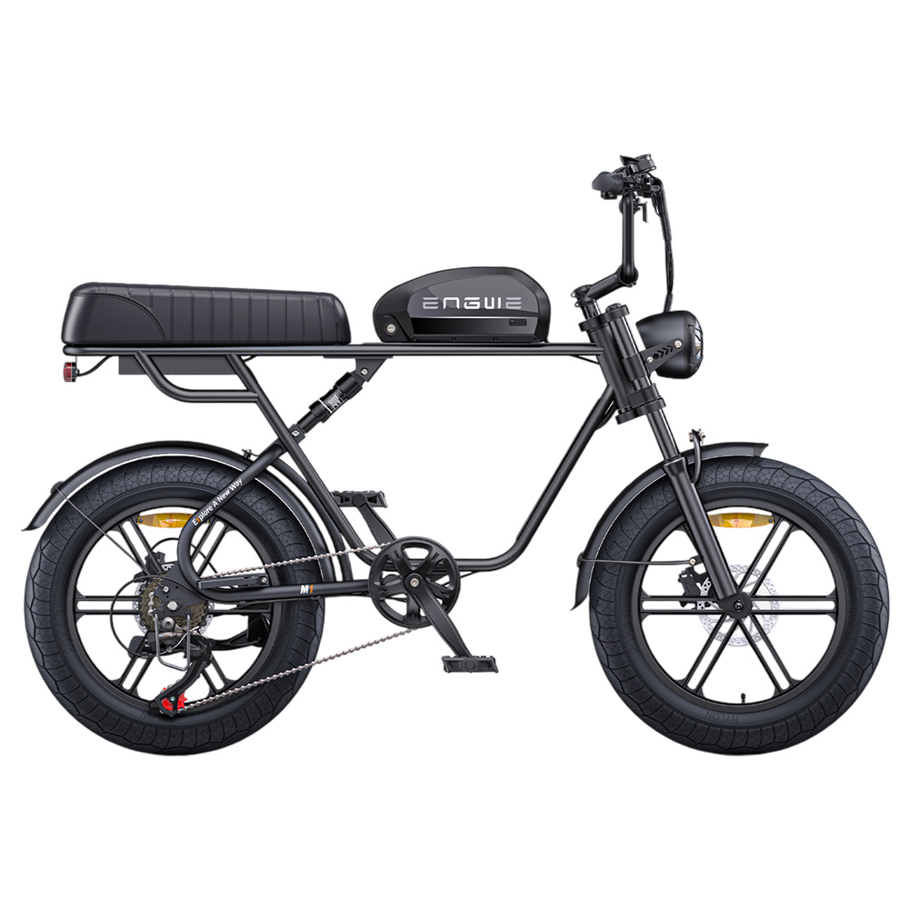 ENGWE M1 Electric Bike, 250W Motor, 48V 15.6Ah+13Ah Battery, 20*4.0 inch Fat Tire, 25 km/h Max Speed, 170km Range, Hydraulic Disc Brakes, Double Suspension, Shimano 7-speed, LCD Display - Black