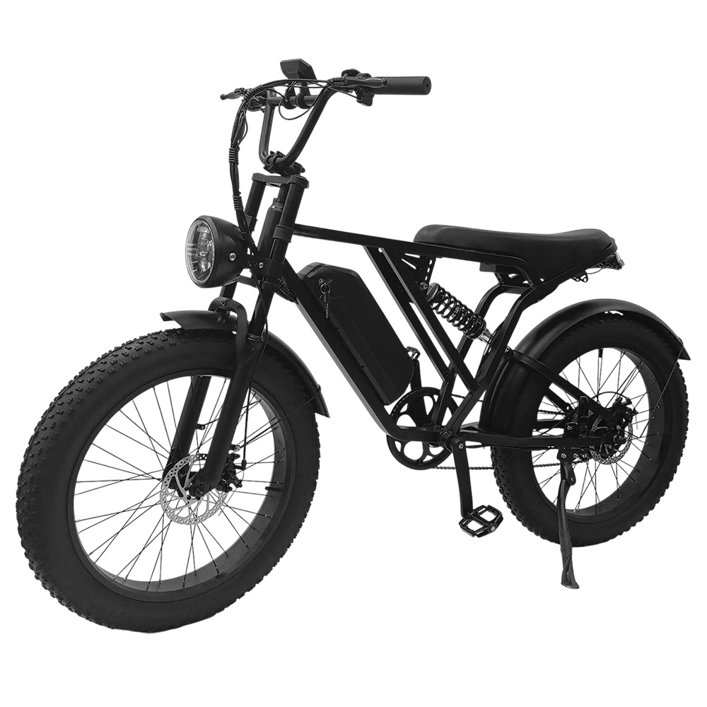 YANGOR Y-24 Electric Bike, 250W Motor, 48V 20AH Battery, 24*4.0-inch Tire, 42km/h Max Speed, 120km Max Range, Mechanical Disc Brake, Front & Read Suspensions, Shimano ALTUS 8-speed, LCD Display