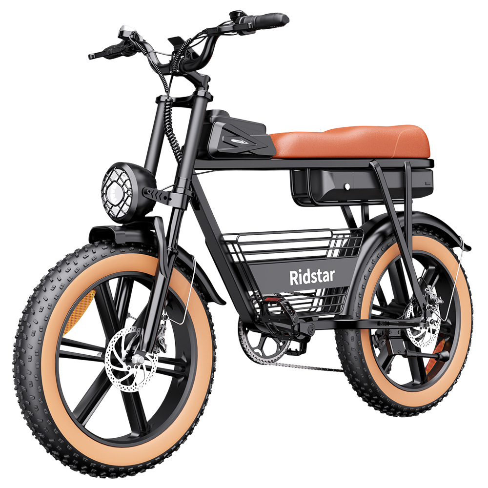 Ridstar CR20 Electric Bike, 1000W Motor, 48V 20Ah Battery, 20*4.0 inch Fat Tires, 48km/h Max Speed, 70km Max Range, Front & Rear Mechanical Disc Brakes, Shimano 7-speed, LCD Display