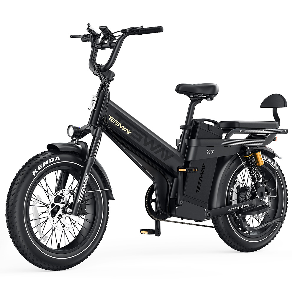 TESWAY X7 Pro Electric Bike, 1000W Motor, 48V 60Ah Battery, 20*4 inch Tires, 50km/h Max Speed, 320km Max Range, Dual Hydraulic Brakes, Full Suspension, Shimano 7-speed - Black