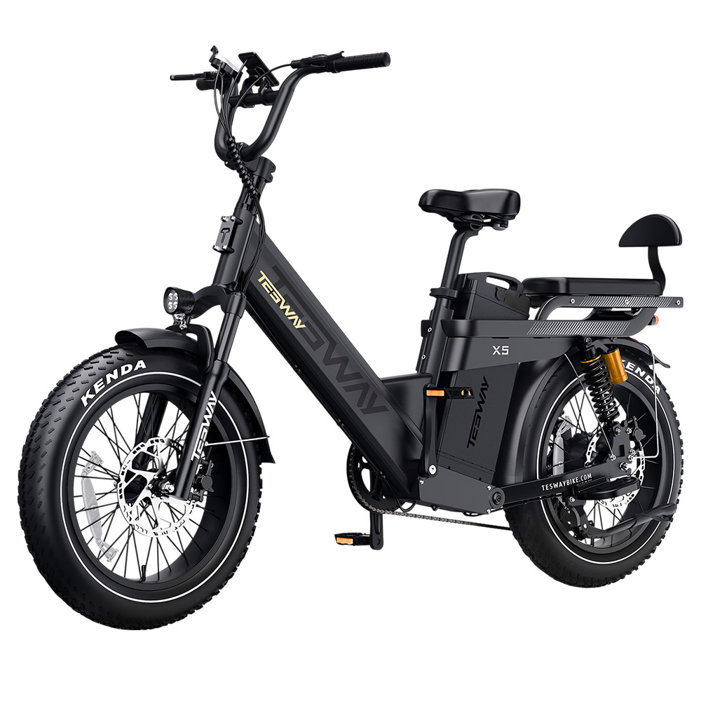 TESWAY X5 Pro Electric Bike, 1000W Motor, 48V 60Ah Battery, 20*4.0-inch Tires, 50km/h Max Speed, 300km Max Range, Dual Hydraulic Brakes, Full Suspension, Shimano 7-speed - Black