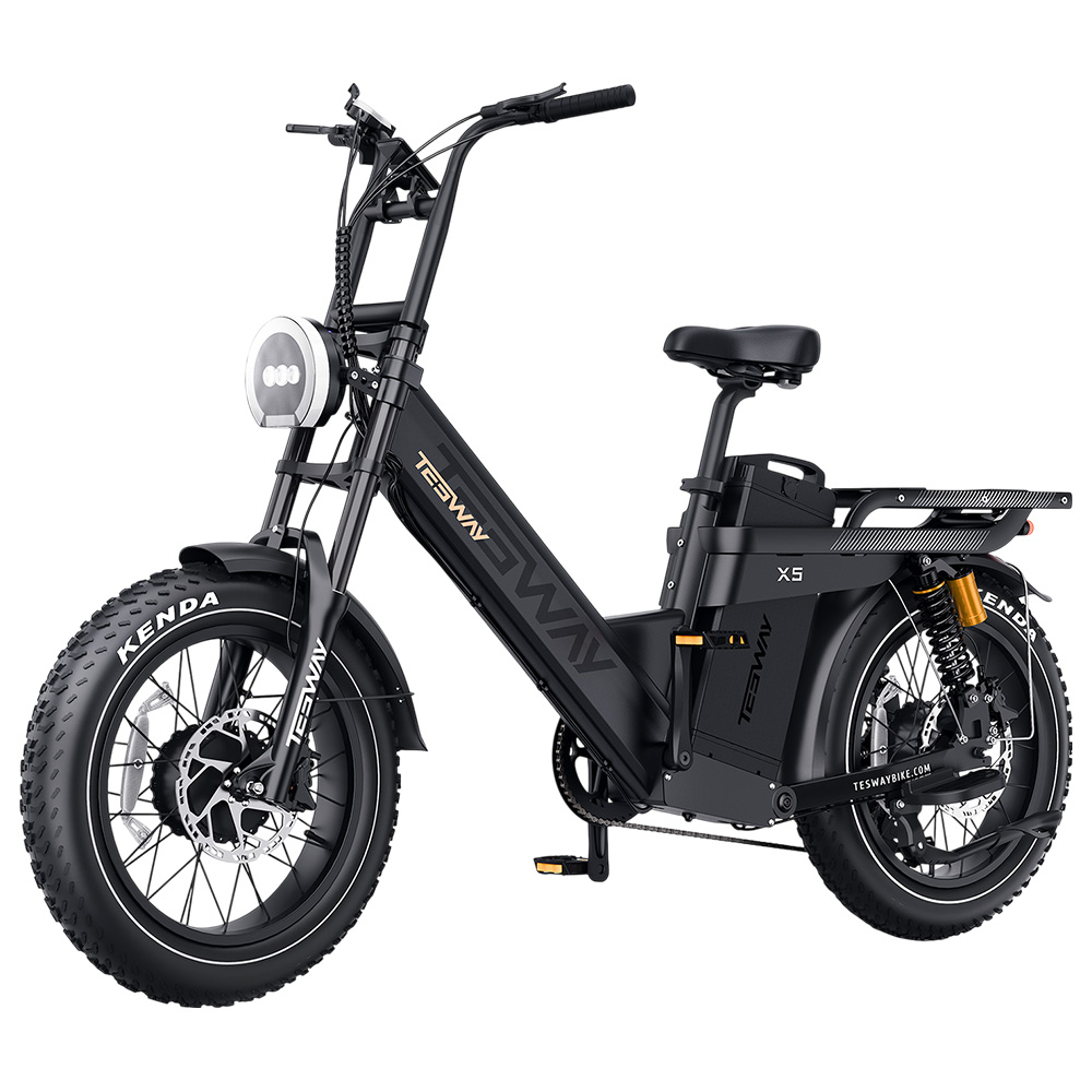 TESWAY X5 AWD Electric Bike, 1000W*2 Motor, 52V 60Ah Battery, 20*4 inch Tires, 60km/h Max Speed, 300km Max Range, Dual Hydraulic Brakes, Full Suspension, Shimano 7-speed - Black