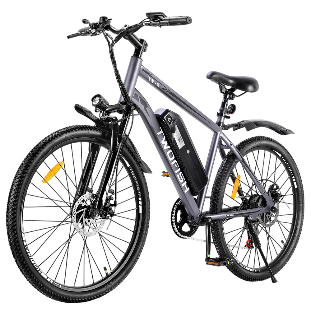 TWOFISH TF-1 Electric Bike, 250W Motor, 36V 15Ah Battery, 26 inch Tires, 25km/h Max Speed, 100km Max Range, Disc Brakes, Front Suspension, LCD Display - Grey