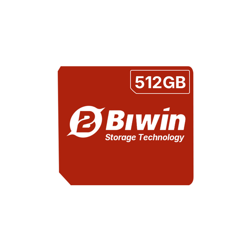 One Netbook OneXPlay BIWin Mini SSD 512GB