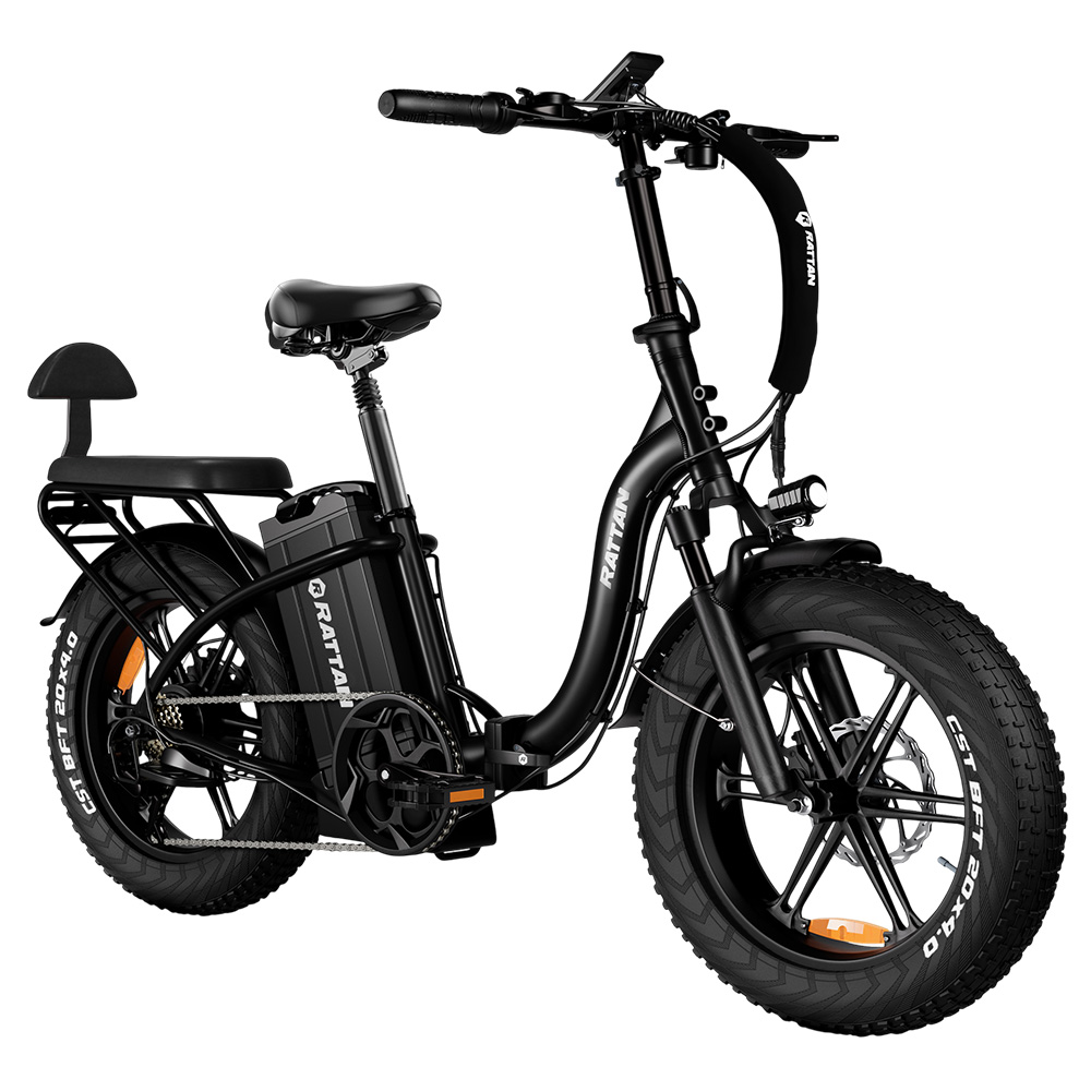 RATTAN LF Ultra Electric Bike, 1000W Motor, 48V 40.5Ah Battery, 20*4 inch Tires, 50km/h Max Speed, 190km Max Range, Hydraulic Brake, Full Suspension, Color Display - Black