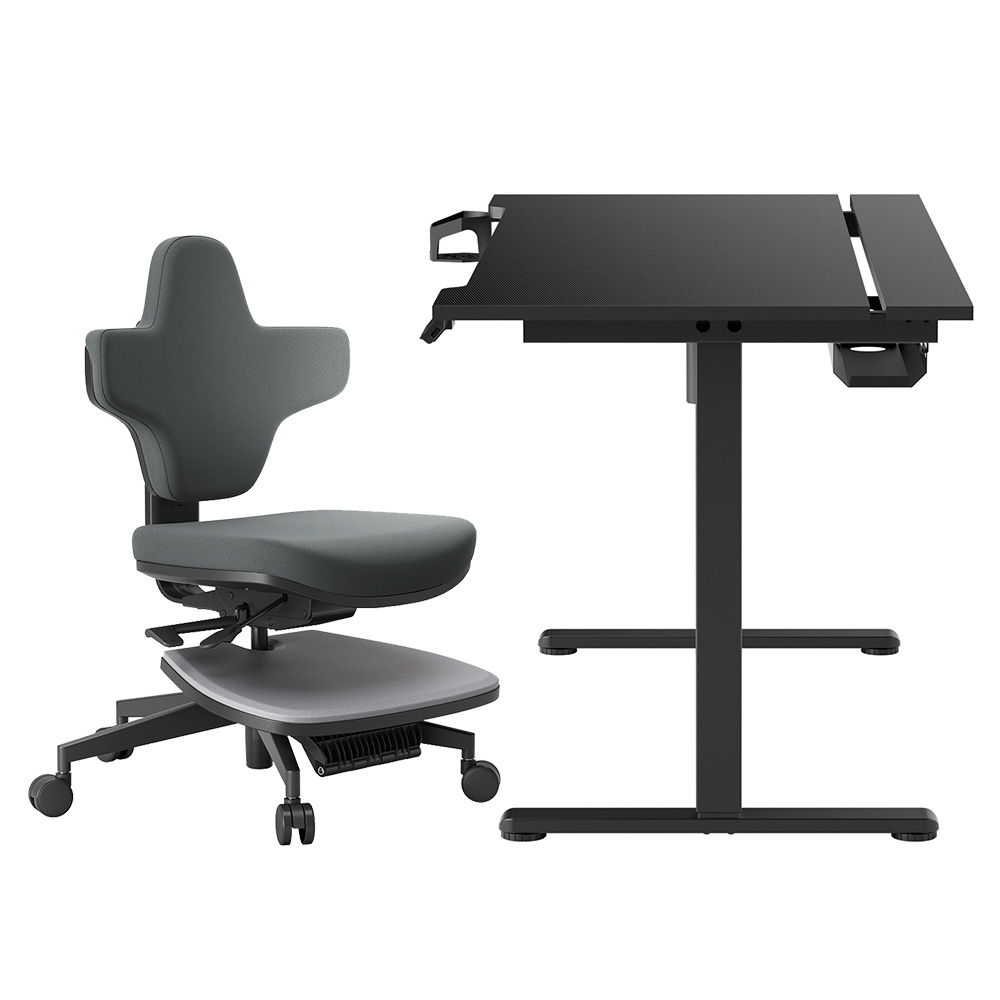 NEWTRAL MT-M Standing-Mate Ergonomic Standing Desk Chair + ACGAM JSD5-A1-02 Height Adjustable Electric Desk