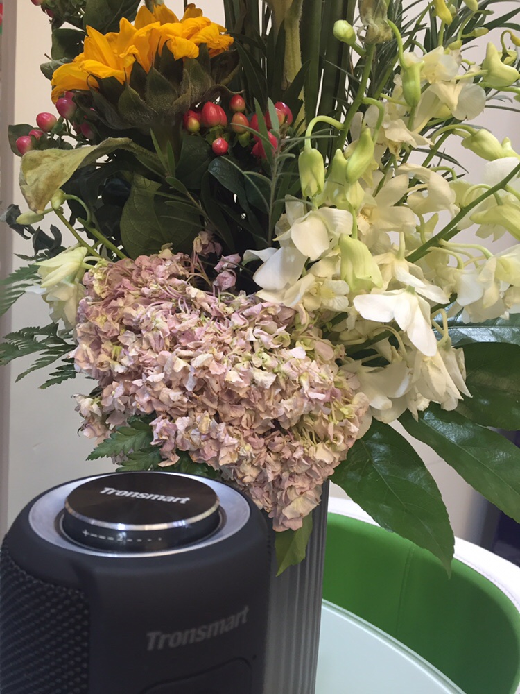 Tronsmart Element T6 Plus Portable Bluetooth 5.0 Speaker with 40W Max Output, Deep Bass, IPX6 Waterproof, TWS - Black