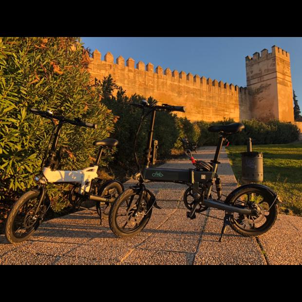 FIIDO D2S Folding Moped Electric Bike Gear Shifting Version City Bike Commuter Bike 16-inch Tires 250W Motor Max 25km/h SHIMANO 6 Speeds Shift 7.8Ah Battery - Dark Gray