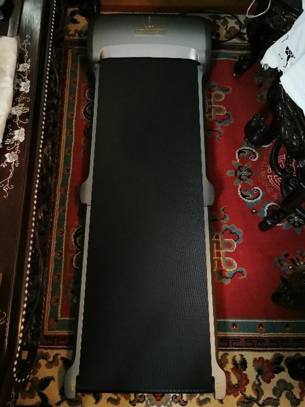 WalkingPad C1 Fitness Walking Machine Foldable Electric Gym Equipment App Control From Xiaomi Youpin - Gray