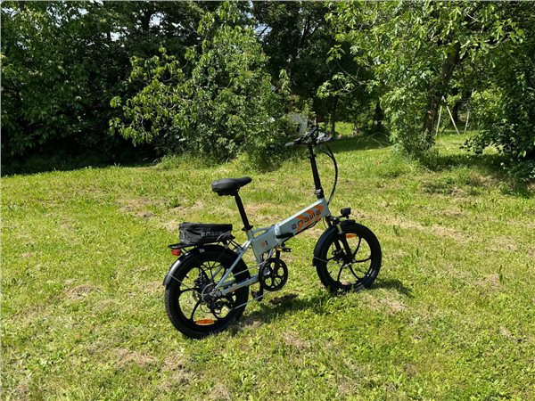 ENGWE P20 20 inch Folding Electric Bike, 250W Silent Motor Torque Sensor, Carbon Belt 36V 9.6Ah Battery 100km range,25km/h Max Speed, Dual Disc Brake, 18.5kg Light Weight Turn Signal - Green