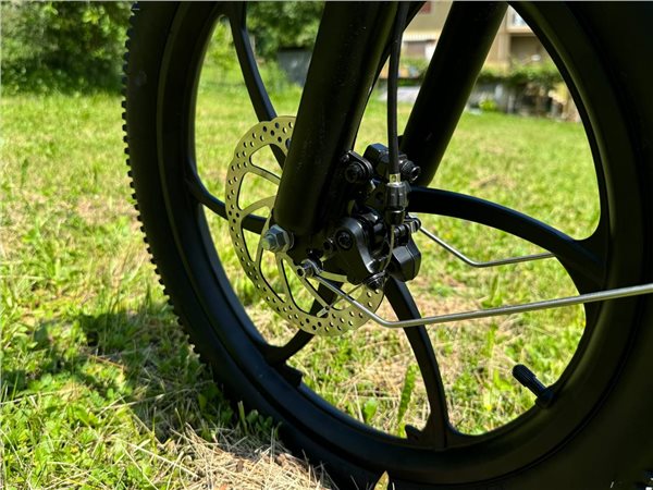 ENGWE P20 20 inch Folding Electric Bike, 250W Silent Motor Torque Sensor, Carbon Belt 36V 9.6Ah Battery 100km range,25km/h Max Speed, Dual Disc Brake, 18.5kg Light Weight Turn Signal - Green